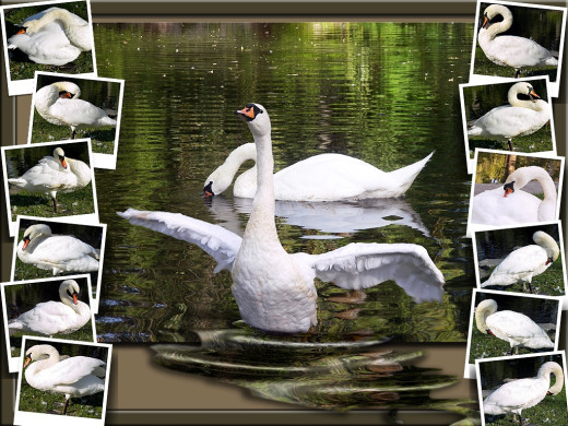 350493 (a): :1024x768
